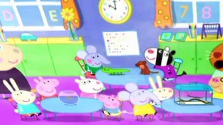 Peppa Pig Episodes Compilation // The Pet Competitio - Spider Web