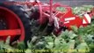 Best Video Compilation Machinery Tractors equipment Extreme Agriculture
