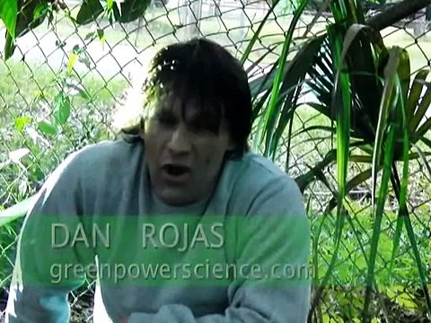 DIY MOSQUITO TRAP pesticide FREE control Solar Stop Zika Virus Chikungunya