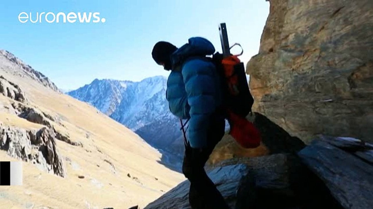 Cameras capture rare snow leopard pictures