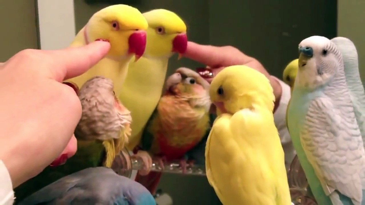 It's playtime! Bee is out of quarantine!
