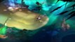 Let's Play Transistor Part 6: Expanding Sandbox