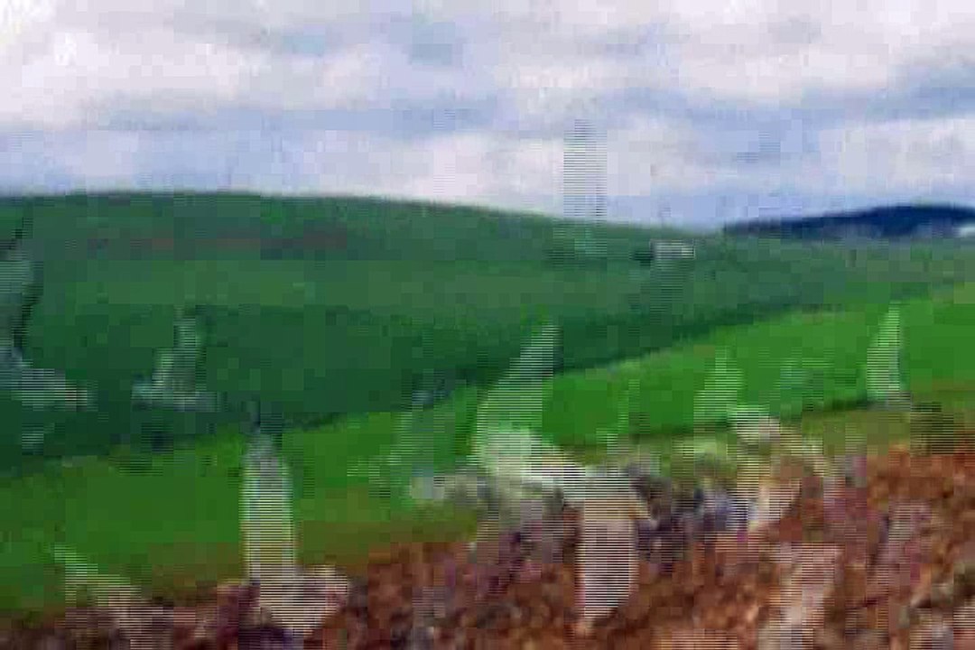 ROMÁNCOK - GALAMBOK SZÁLLNAK