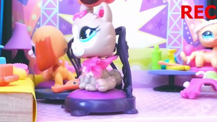 ✿ Minişler: 20000 Abone Partisi ✿ | LPSEM miniş