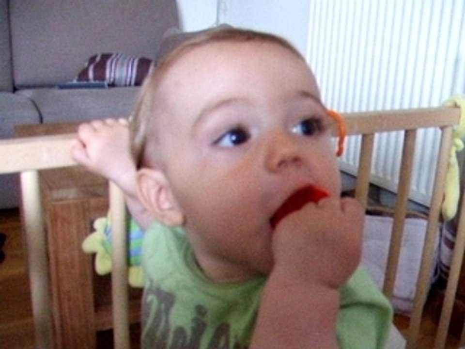DSCF3162