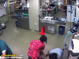 Düğünden Gelin Kaçırır Gibi Veterineri Kaçıran Köpek