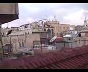 Cute Dog Responds To Azan