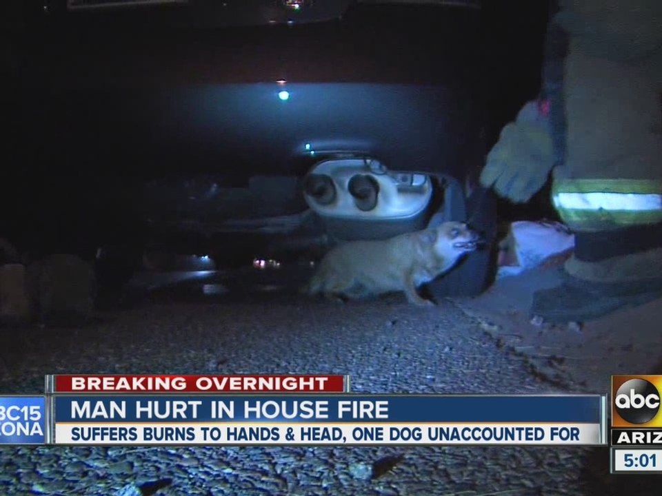 Man hurt in fire after trying to rescue pets