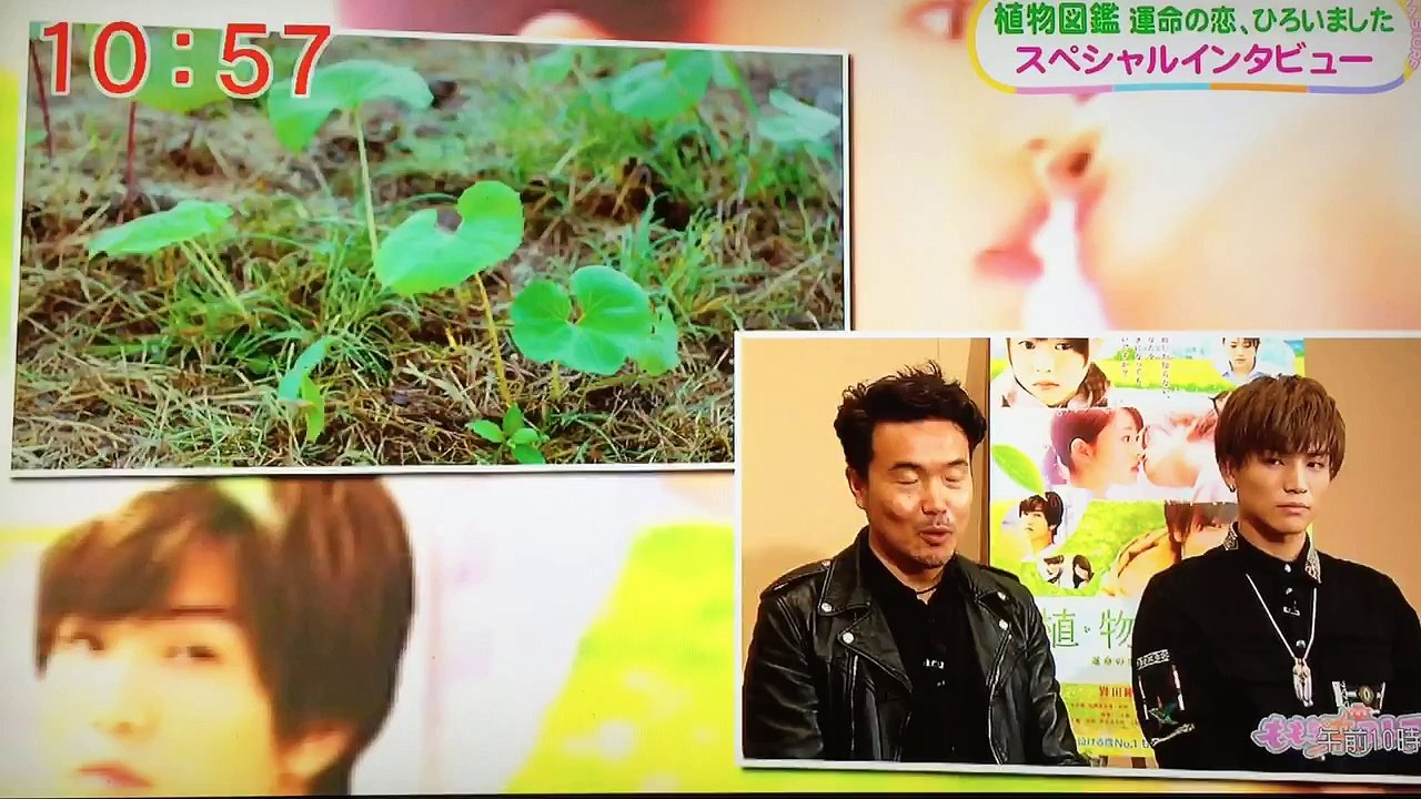 2016.5.30(MON)ももち浜ストアプラス(福岡ローカル)☘植物図鑑☘インタビュー岩田剛典
