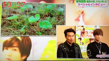2016.5.30(MON)ももち浜ストアプラス(福岡ローカル)☘植物図鑑☘インタビュー岩田剛典