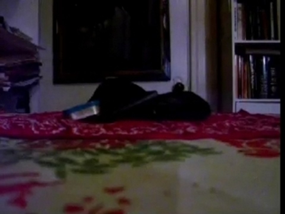 Lousy Videoblogging - Making the Too Green Hobobag