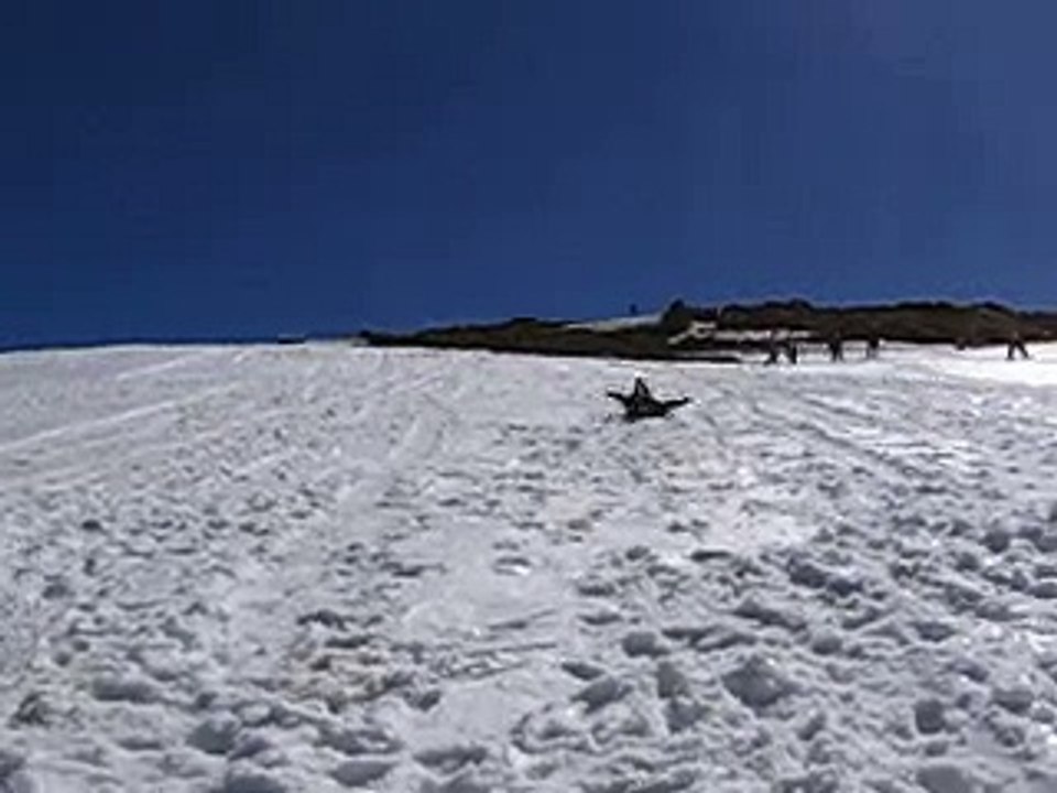 de palomita
