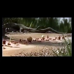 2016 amazing group work must watch