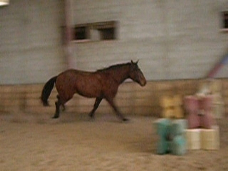 Reitor, Saut en liberté