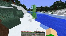 Minecraft 4th of July Special