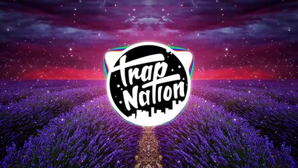 Anikdote - Life Is Over [NCS Release]