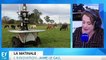 Australie : un robot qui garde les moutons va être testé