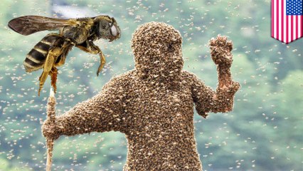 Swarm of killer bees stings hiker to death in Arizona park