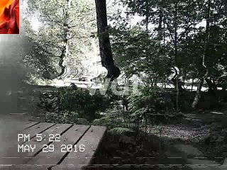 VID-20160530-WA0002