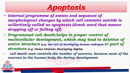 Apoptosis&Mechanism