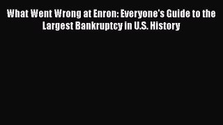 Download What Went Wrong at Enron: Everyone's Guide to the Largest Bankruptcy in U.S. History