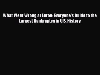 Download What Went Wrong at Enron: Everyone's Guide to the Largest Bankruptcy in U.S. History