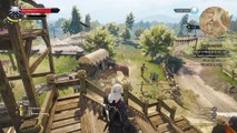 The witcher 3 (130)