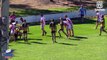 2016 Newcastle RL Round 7 - Under 19s Highlights - Macquarie Scorpions v South Newcastle Lions