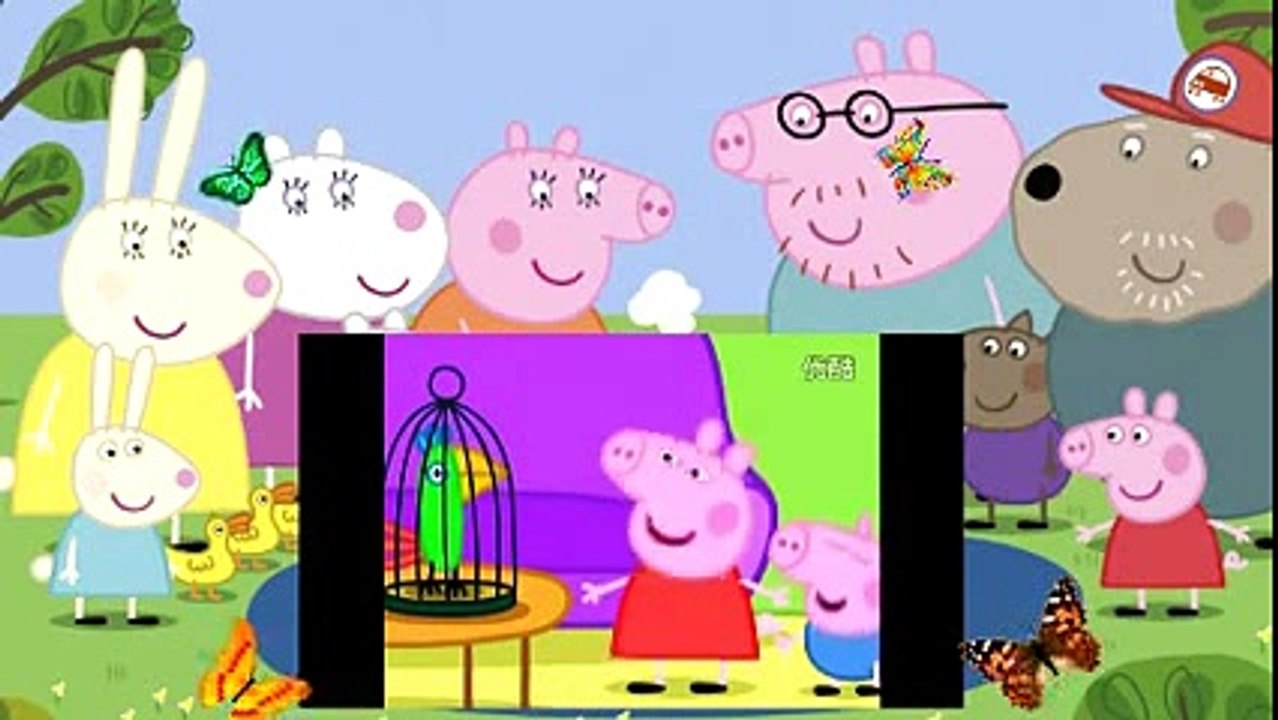 Peppa猪Pollys假日 Peppa Pig Pollys Holiday