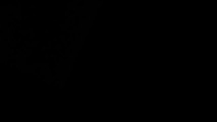 Maulana Tariq Jameel Bayan On His Son's Nikah (Waleema)