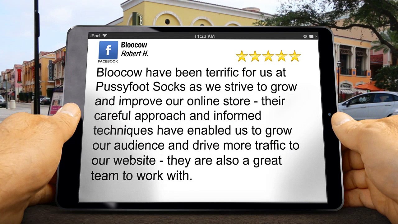 Bloocow Perth Remarkable Five Star Review by Robert H.