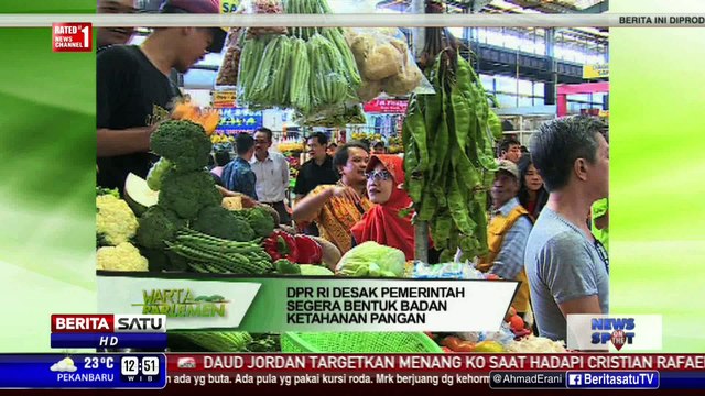 DPR Desak Pemerintah Segera Bentuk Badan Ketahanan Pangan