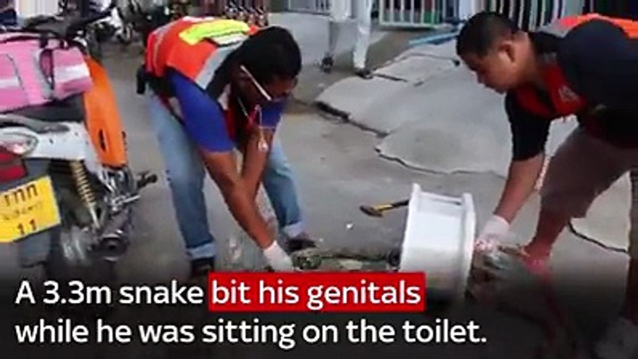 Snack bit man while sitting on the toilet seat