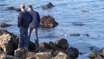 Zonguldak Ereğli'de Denizde Kadın Cesedi Bulundu