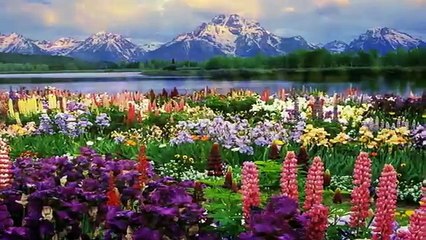 GÖRÜNTÜLÜ KURAN - KAF SURESİ