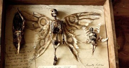 Masallarda Görebileceğimiz Yaratıklar Bir Evin Bodrumunda Bulundu