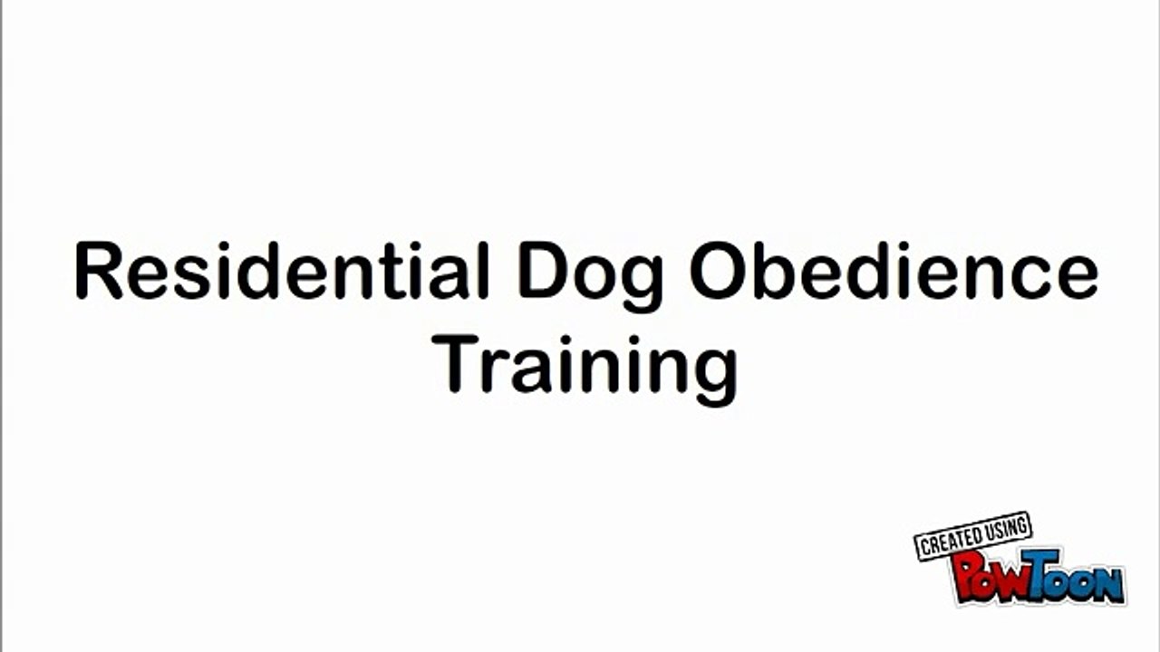 Residential Dog Obedience Training