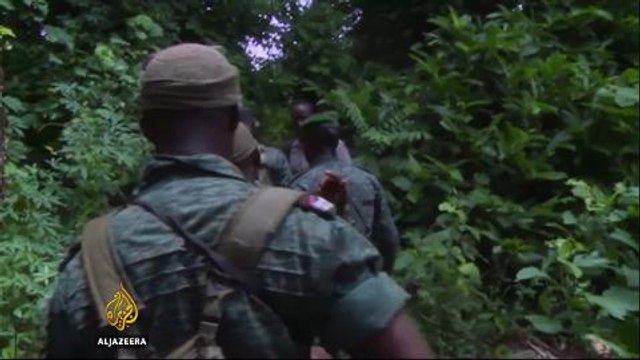 Illegal farming threatens Ivory Coast’s cocoa industry
