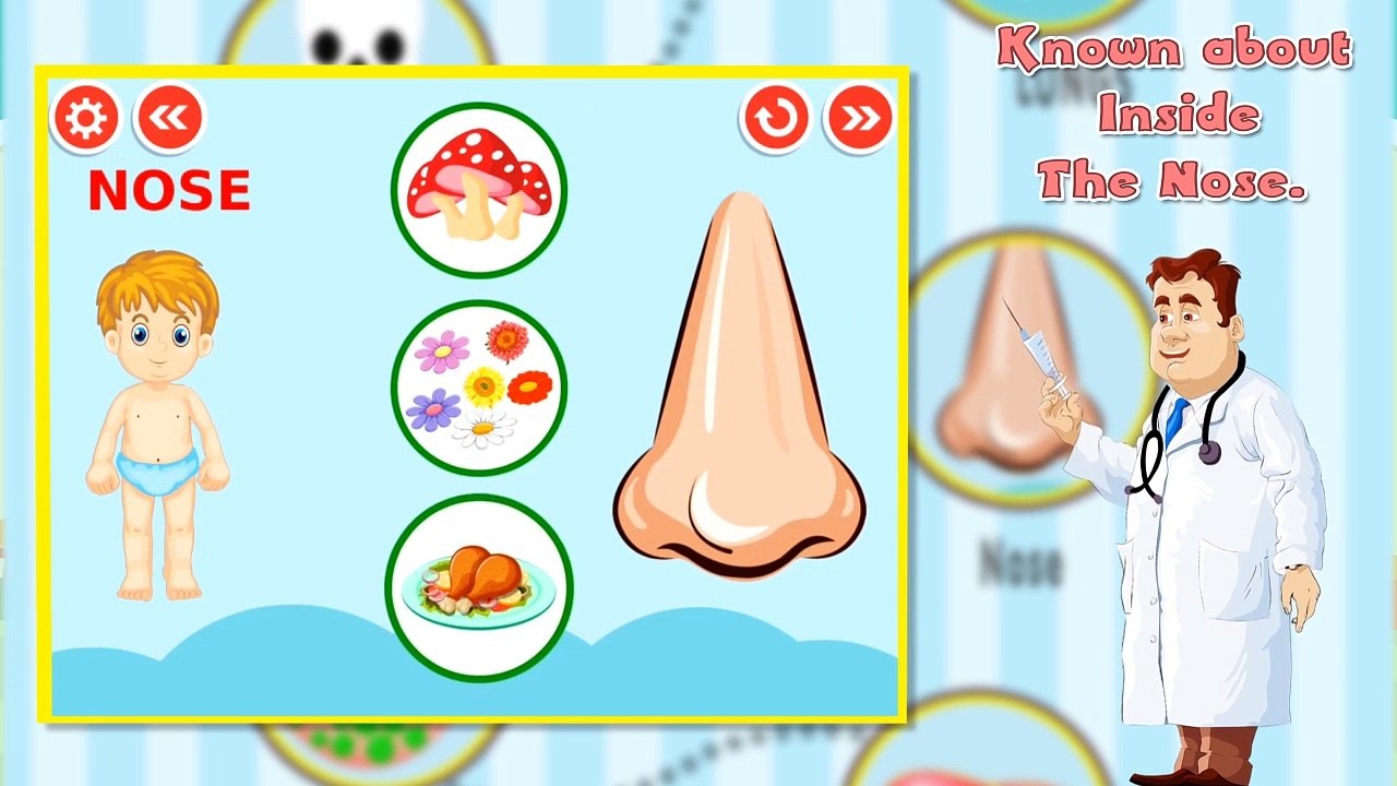 Learning Human Body Part - 2 - iOS-Android Gameplay Trailer By Gameiva