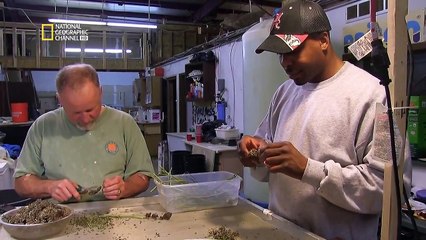 American Weed, Episode 2 : La ruée verte (FR)