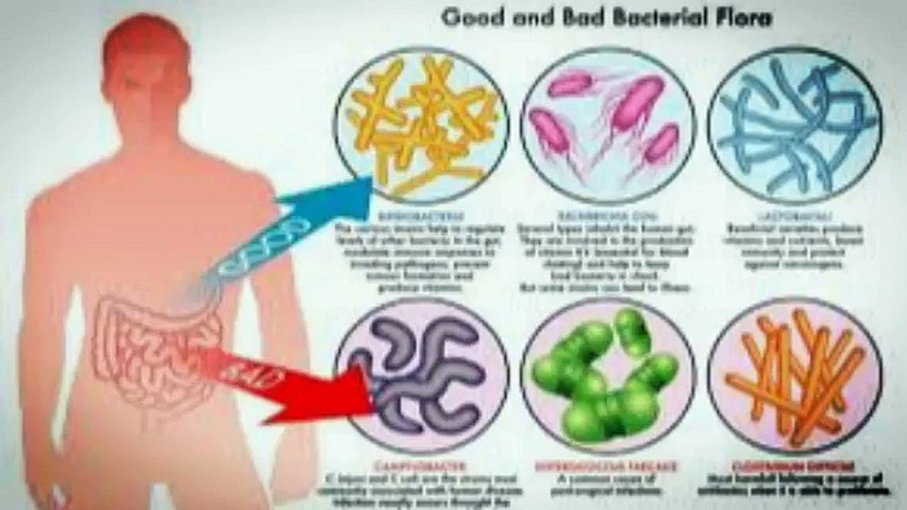 http://supplementsgarden.com/nucific-bio-x4/