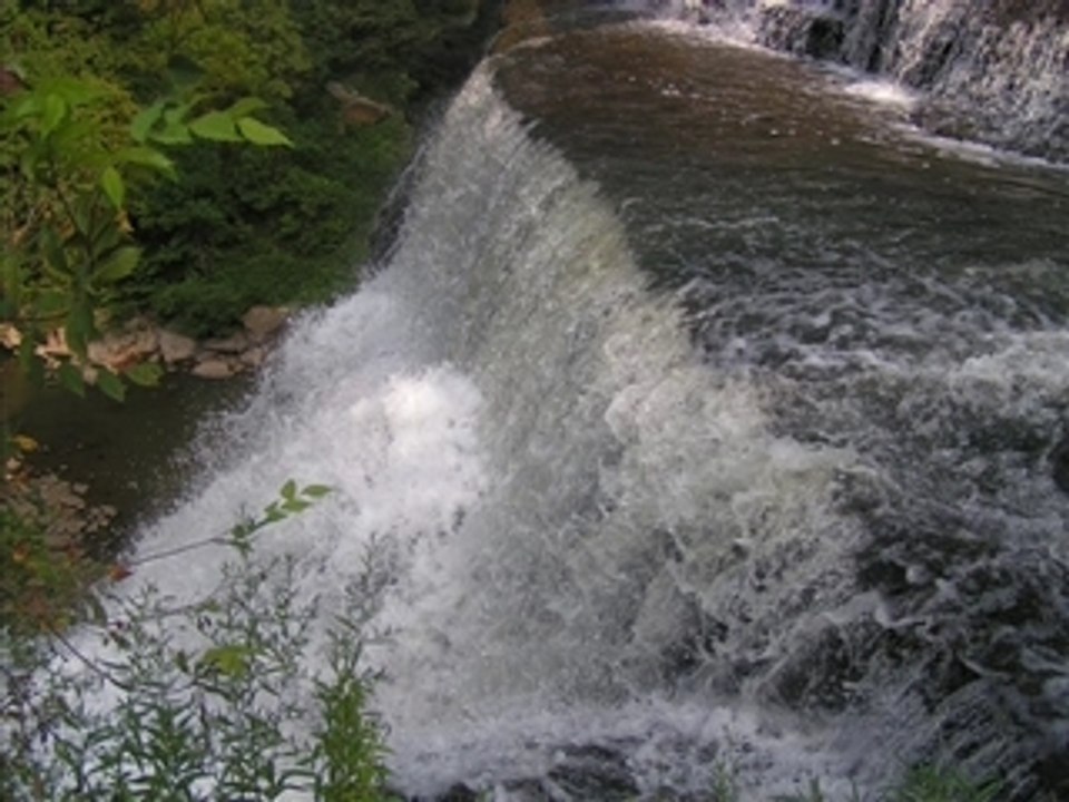 Can  I Check You for TICKS !