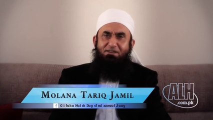 Molnar Tariq Jameel sb-bayan