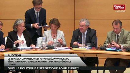 Sureté nucléaire et production énergétique - Les matins du Sénat (30/05/2016)