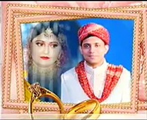 Shadi Adrees Zafar USA