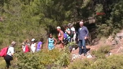 Muğla Çam Kese Böceğine Karşı Gönüllü Mücadele