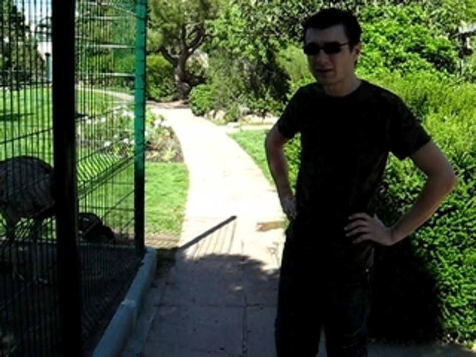 Zoo phoenix