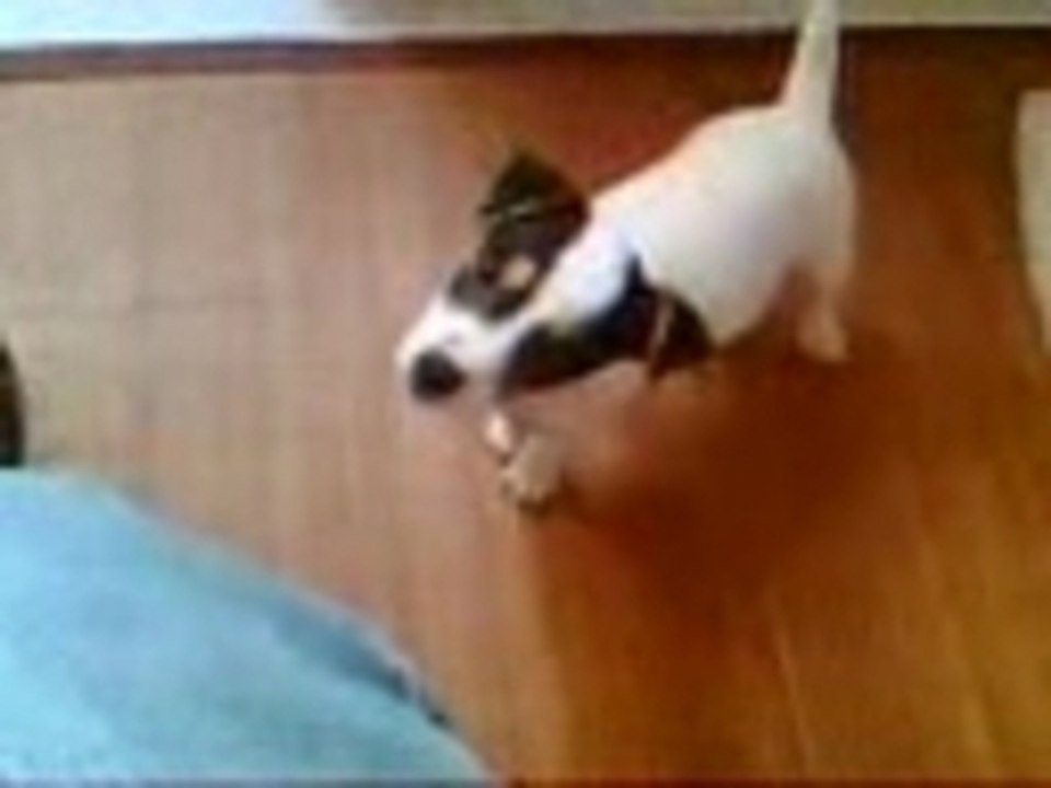 Accro