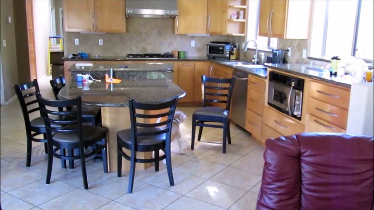 Un Chien malin et affamé...