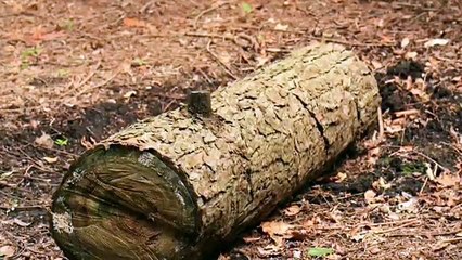 Handsaw Sawing Wood Sound Effect